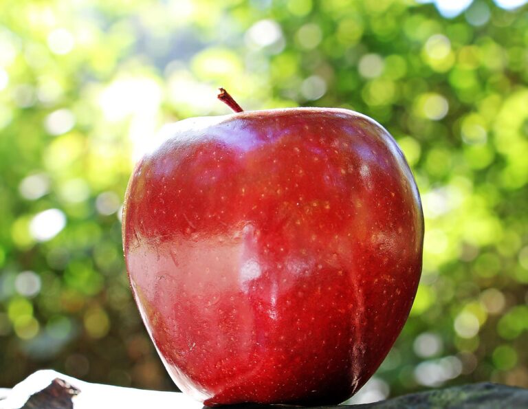 apple airprint epson printers