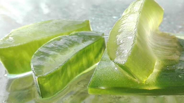 aloe vera juice benefits for hair