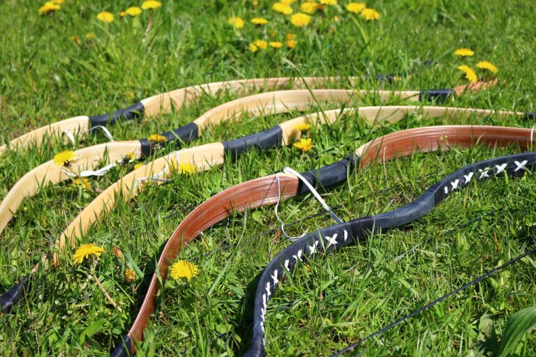 archery bows 2025